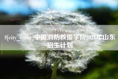 塔城中国消防救援学院2021年山东招生计划