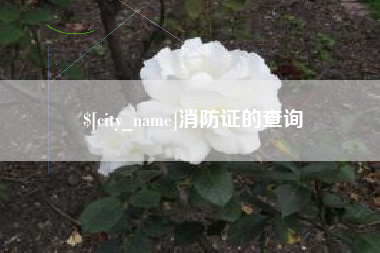 塔城消防证的查询