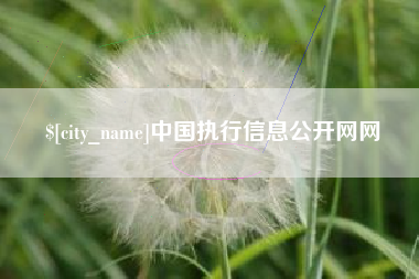 塔城中国执行信息公开网网