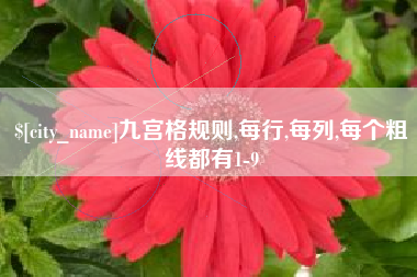 塔城九宫格规则,每行,每列,每个粗线都有1-9