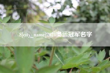 塔城2024奥运冠军名字