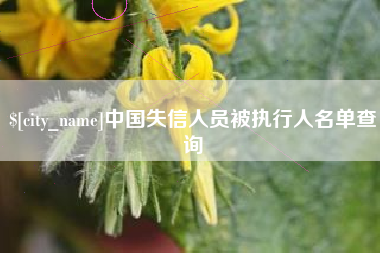 塔城中国失信人员被执行人名单查询