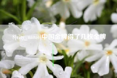 塔城中国金牌得了几枚金牌