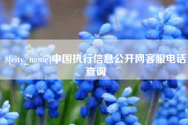 塔城中国执行信息公开网客服电话查询