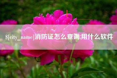 塔城消防证怎么查询,用什么软件