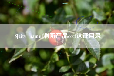 塔城消防产品cccf认证目录