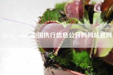 塔城中国执行信息公开网网站官网