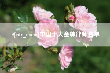 塔城中国十大金牌律师名单