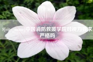 塔城中国消防救援学院对视力要求严格吗