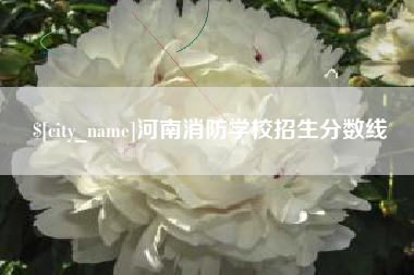 塔城河南消防学校招生分数线