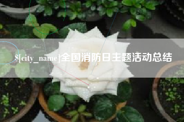 塔城全国消防日主题活动总结