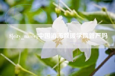 塔城中国消防救援学院管严吗