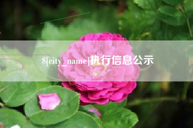 塔城执行信息公示