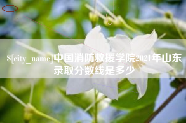 塔城中国消防救援学院2021年山东录取分数线是多少
