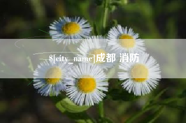 塔城成都 消防
