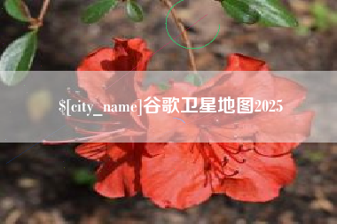 塔城谷歌卫星地图2025
