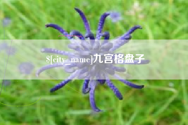塔城九宫格盘子