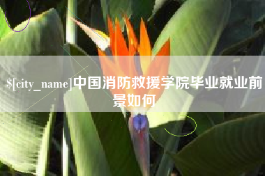 塔城中国消防救援学院毕业就业前景如何
