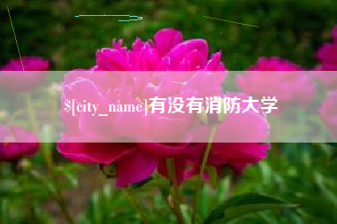 塔城有没有消防大学