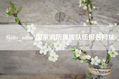 塔城国家消防救援队伍报名网址