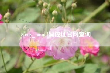 塔城消控证官网查询