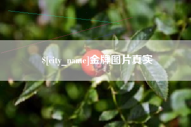 塔城金牌图片真实