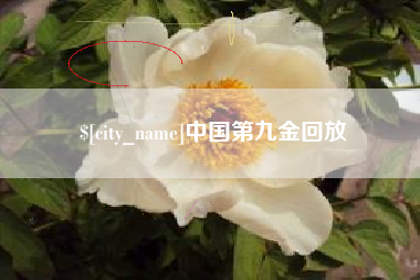 塔城中国第九金回放