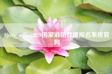 塔城2020国家消防救援报名系统官网