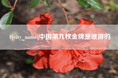 塔城中国第九枚金牌是谁得的