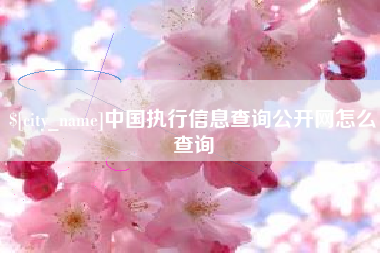 塔城中国执行信息查询公开网怎么查询