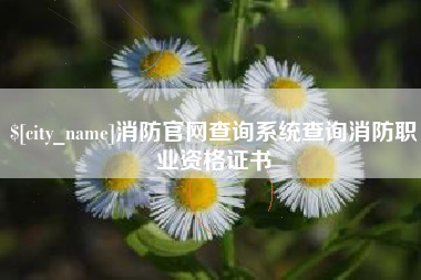 塔城消防官网查询系统查询消防职业资格证书