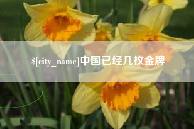塔城中国已经几枚金牌