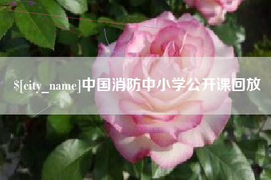 塔城中国消防中小学公开课回放