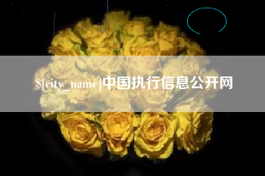 塔城中国执行信息公开网