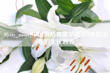 塔城中国消防救援学院2020年在山东招生计划表