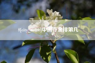 塔城中国夺金排第几