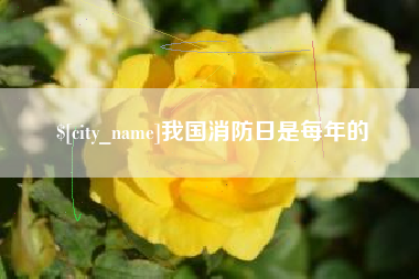 塔城我国消防日是每年的