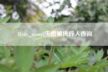 塔城失信被执行人杳询