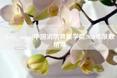 塔城中国消防救援学院2020年录取结果