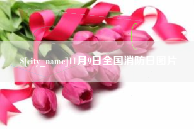 塔城11月9日全国消防日图片