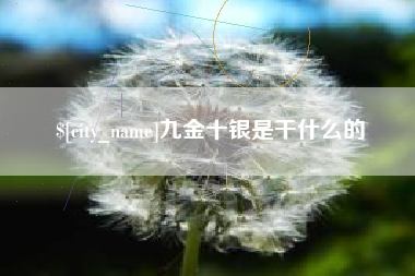 塔城九金十银是干什么的