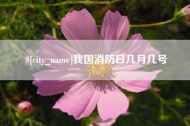 塔城我国消防日几月几号