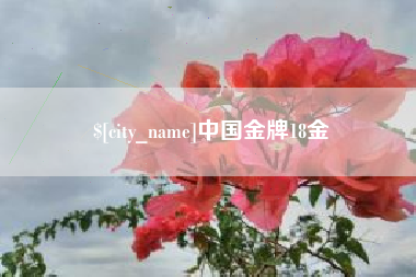 塔城中国金牌18金
