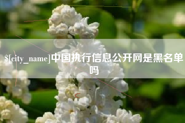 塔城中国执行信息公开网是黑名单吗