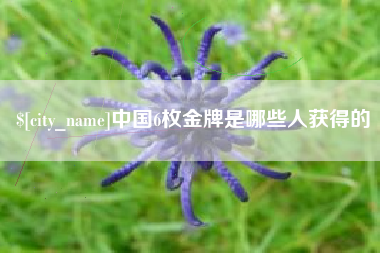 塔城中国6枚金牌是哪些人获得的