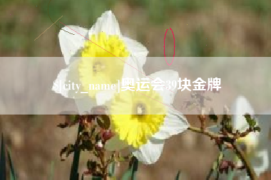 塔城奥运会39块金牌