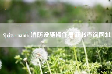 塔城消防设施操作员证书查询网址
