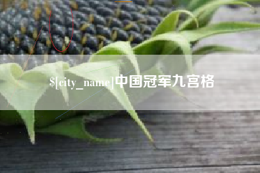 塔城中国冠军九宫格