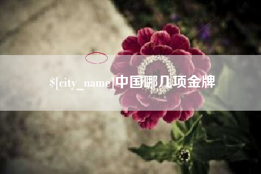 塔城中国哪几项金牌