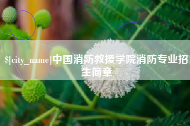 塔城中国消防救援学院消防专业招生简章